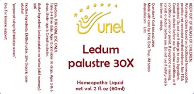 Ledum Palustre 30x Liquid (Ledum Palustre 30x Liquid)